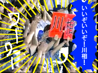 いいぞ・いいぞ・川相!!