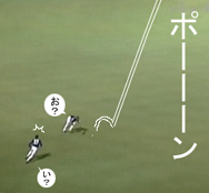 �I�`�����A����Y�ꂽ�́H