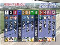 ダービー枠順