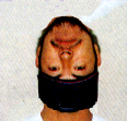 ݂肵̎Ciwzʐ^j