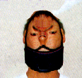 ݂肵̎Ciwzʐ^j