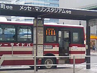 ʐ^
